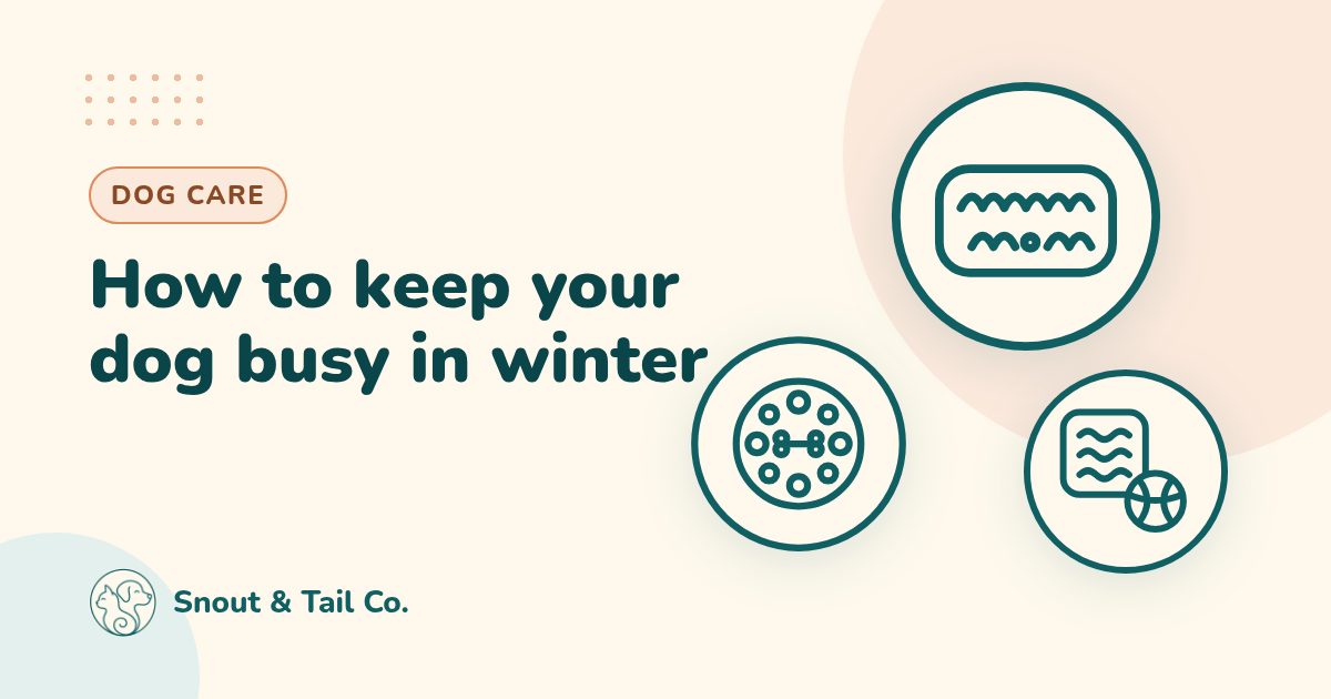 How to keep your dog busy in winter: 15 indoor ideas: illustration by Snout & Tail Co.